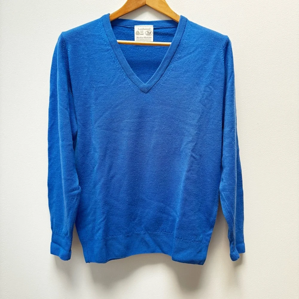 Pure New Wool Lambswool Sweater Men's Sz M Blue Edinburgh Woollen Mill V-Neck